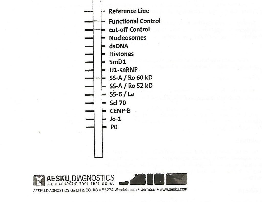 C:\Documents and Settings\Interne\Impostazioni locali\Temporary Internet Files\Content.Word\Nuova immagine.bmp