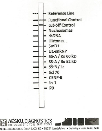 C:\Documents and Settings\Interne\Impostazioni locali\Temporary Internet Files\Content.Word\Nuova immagine.bmp